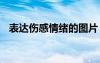 表達(dá)傷感情緒的圖片 表達(dá)情感的傷感句子