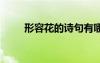 形容花的詩(shī)句有哪些 形容花的詩(shī)句