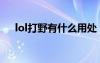 lol打野有什么用處（lol打野有什么用）