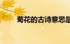 菊花的古詩(shī)意思是什么 菊花的古詩(shī)