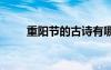 重陽節(jié)的古詩有哪些 重陽節(jié)的古詩
