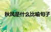 秋風(fēng)是什么比喻句子 秋風(fēng)是什么的比喻句