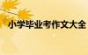 小學畢業(yè)考作文大全 小學畢業(yè)考試作文集