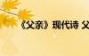 《父親》現(xiàn)代詩(shī) 父親的經(jīng)典現(xiàn)代詩(shī)歌