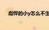 彪悍的小y怎么不生產(chǎn)了（彪悍的小y）
