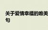 關(guān)于愛情幸福的唯美句子 愛情的幸福經(jīng)典語句