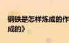 鋼鐵是怎樣煉成的作者簡介 《鋼鐵是怎樣煉成的》