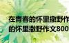 在青春的懷里撒野作文800字怎么寫 在青春的懷里撒野作文800字