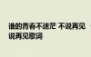 誰的青春不迷茫 不說再見 《誰的青春不迷?！分黝}曲：不說再見歌詞
