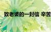 致老婆的一封信 辛苦了 感動(dòng)老婆的一封信