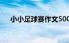 小小足球賽作文500字 小小足球賽作文