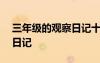 三年級的觀察日記十篇300字 三年級的觀察日記