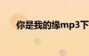 你是我的緣mp3下載 你是我的緣隨筆