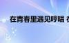 在青春里遇見哼唱 在青春里遇見你作文
