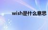 wish是什么意思（wish什么意思）