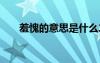 羞愧的意思是什么二年級 羞愧的意思
