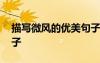 描寫微風(fēng)的優(yōu)美句子摘抄 描寫微風(fēng)的優(yōu)美句子