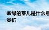 嫩綠的芽?jī)菏鞘裁匆馑?冰心《嫩綠的芽?jī)骸焚p析