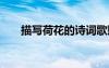 描寫(xiě)荷花的詩(shī)詞歌賦 描寫(xiě)荷花的詩(shī)詞