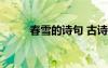 春雪的詩(shī)句 古詩(shī) 春雪的古代詩(shī)句