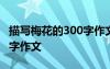 描寫(xiě)梅花的300字作文四年級(jí) 描寫(xiě)梅花的300字作文