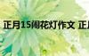正月15鬧花燈作文 正月十五鬧花燈優(yōu)秀作文