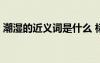 潮濕的近義詞是什么 標準答案 潮濕的近義詞