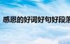 感恩的好詞好句好段落 感恩的好詞佳句摘抄