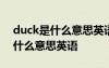 duck是什么意思英語(yǔ)怎么讀音發(fā)音 duck是什么意思英語(yǔ)