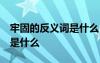 牢固的反義詞是什么 標(biāo)準(zhǔn)答案 牢固的反義詞是什么