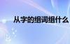 從字的組詞組什么 從字的組詞及造句