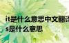 it是什么意思中文翻譯怎么讀音 it是什么意思is是什么意思