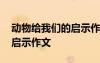 動物給我們的啟示作文三年級 動物給我們的啟示作文