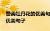 贊美牡丹花的優(yōu)美句子十個(gè)字 贊美牡丹花的優(yōu)美句子