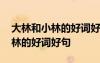 大林和小林的好詞好句好段有哪些 大林和小林的好詞好句