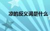 涼的反義詞是什么 有的反義詞是什么?