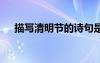 描寫清明節(jié)的詩句是 描寫清明節(jié)的詩句