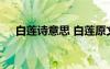 白蓮詩(shī)意思 白蓮原文、翻譯及全詩(shī)賞析