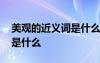 美觀的近義詞是什么標準答案 美觀的近義詞是什么