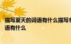 描寫(xiě)夏天的詞語(yǔ)有什么描寫(xiě)冬天的詞語(yǔ)有什么 描寫(xiě)夏天的詞語(yǔ)有什么