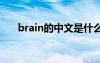 brain的中文是什么 brain的中文含義