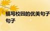 描寫校園的優(yōu)美句子或片段 描寫校園的優(yōu)美句子