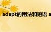 adapt的用法和短語(yǔ) adapted的用法與搭配