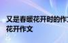 又是春暖花開時的作文初中1000字 又是春暖花開作文