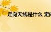 定向天線是什么 定向天線的解釋及造句