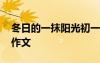 冬日的一抹陽光初一作文 冬日里的一抹陽光作文