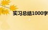 實(shí)習(xí)總結(jié)1000字 計(jì)算機(jī)實(shí)習(xí)總結(jié)