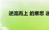 逆流而上 的意思 逆流而上的成語意思