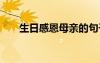 生日感恩母親的句子 感恩母親的句子