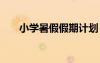 小學(xué)暑假假期計(jì)劃 小學(xué)暑假學(xué)習(xí)計(jì)劃
